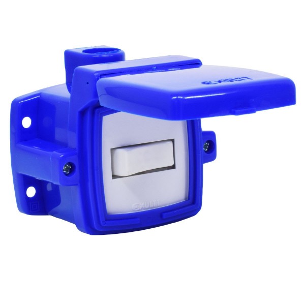 CAJA CAPSULADA 1 PUNTO AZUL EXULTT