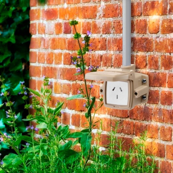 CAJA CAPSULADA 1 PUNTO AZUL EXULTT